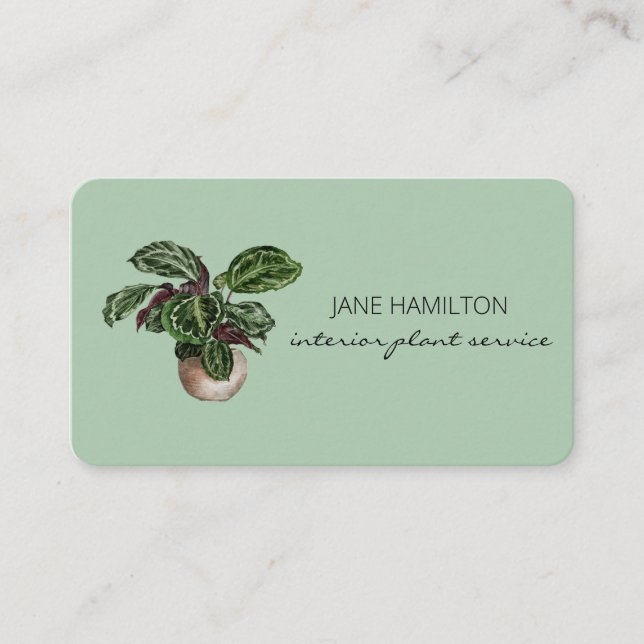 Interior Design Plant Service Business Card (Front)