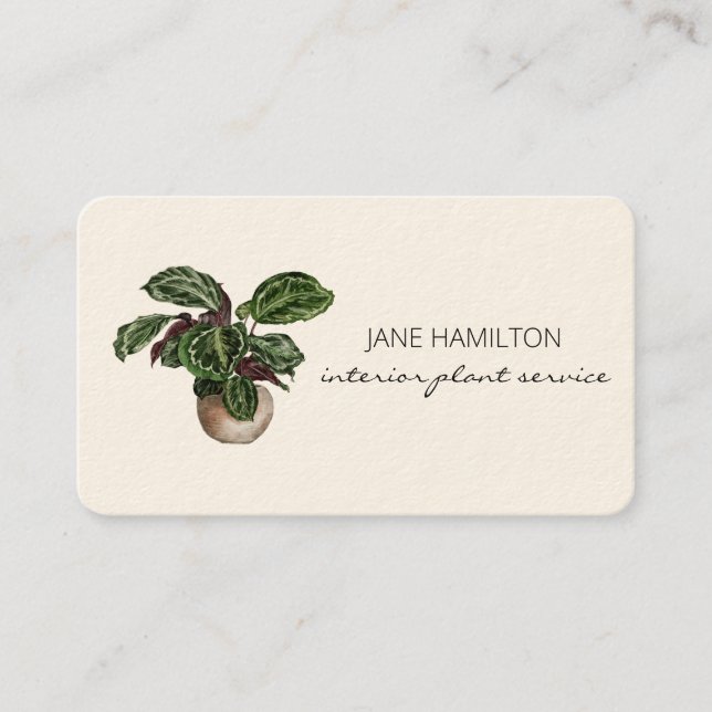 Interior Design Plants Business Card (Front)