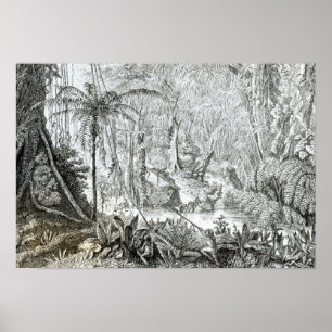 Interior of a Primeval Forest in the Amazons Poster