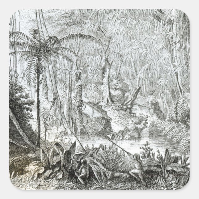 Interior of a Primeval Forest in the Amazons Square Sticker (Front)