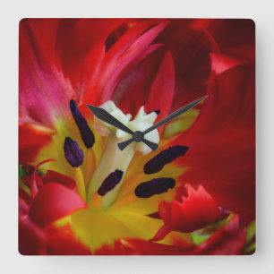 Interior of parrot tulip flower square wall clock