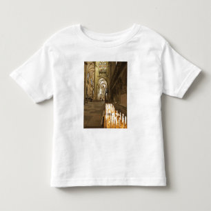 Interior of St. Peter's Cathedral in Regensburg Toddler T-Shirt