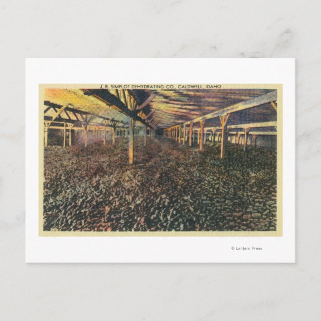 Interior View of the JR Simplot Dehydrating Co Postcard (Front)