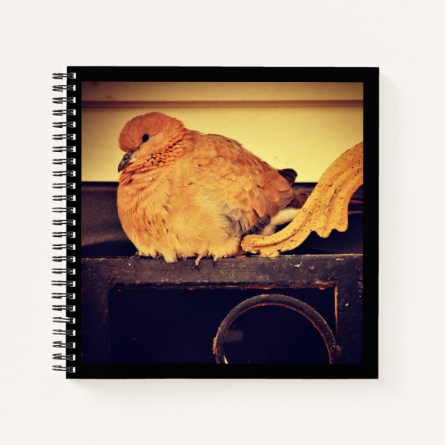 Intermission  notebook (Front)