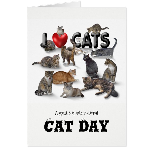 International Cat Day (Front)
