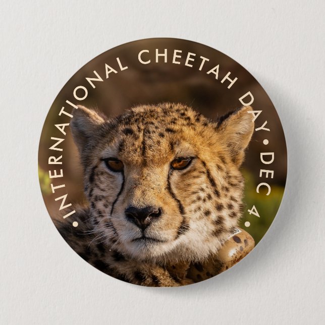 International Cheetah Day 7.5 Cm Round Badge (Front)