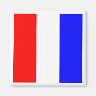 International Maritime Signal Flag TANGO Magnet