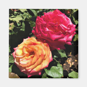 International Rose Test Garden, Portland, Oregon Magnet