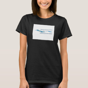 International Sava River Basin Commission Flag T-Shirt