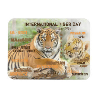 International Tiger Day, July 29, Typography Art Magnet