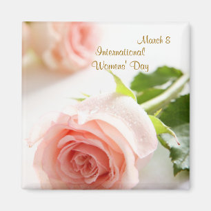 International Womens' Day. White pink rose Magnet