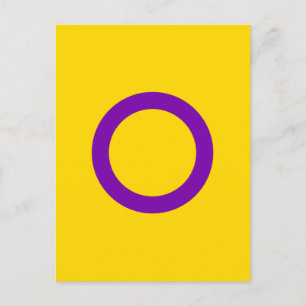 Intersex Pride Flag Postcard