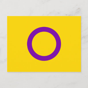 Intersex Pride Flag Postcard