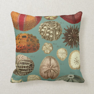 Intestina et Mollusca Linnaei Cushion