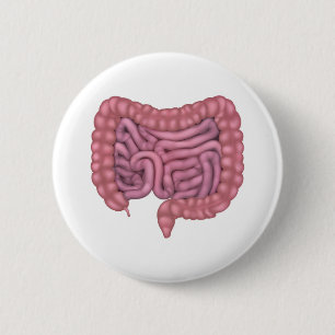 Intestines Gut Human Digestive System 6 Cm Round Badge