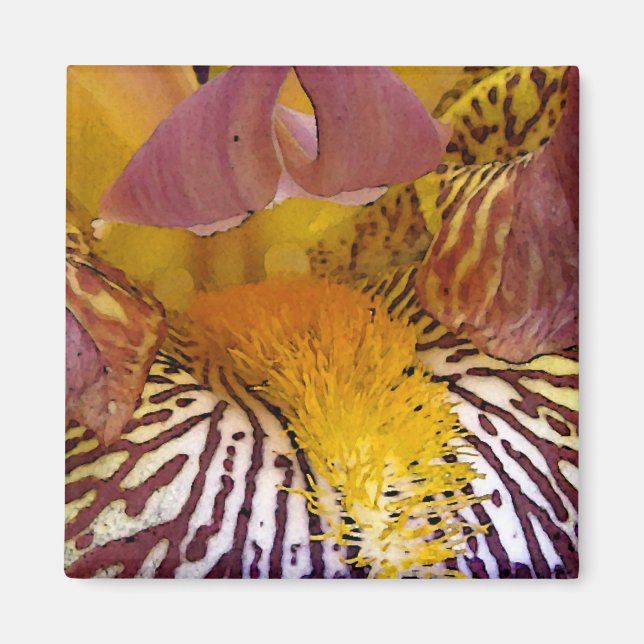 Intimate Iris Magnet (Front)