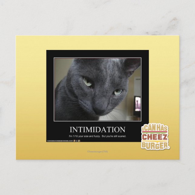 Intimidation Postcard (Front)