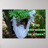 Into the Forest for Orangutan School