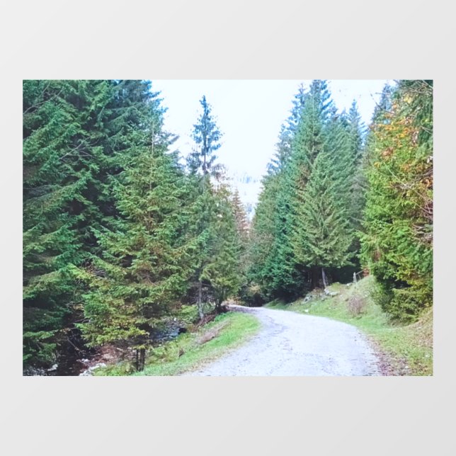 Into the Forest Heart - Wild Nature Romania (Sheet)
