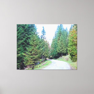 Into the Forest Heart - Wild Nature Romania Canvas Print