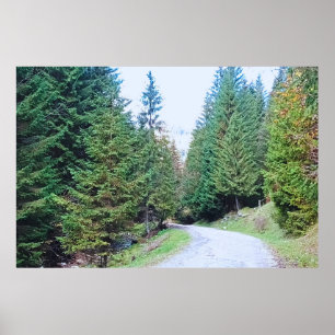 Into the Forest Heart - Wild Nature Romania Poster