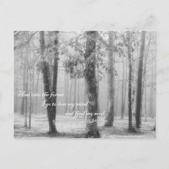 Into the Forest I Go - Postcard (Front)