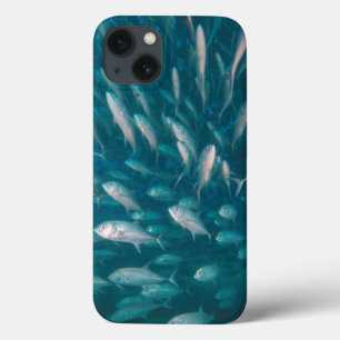 Into The Jacks iPhone 13 Case