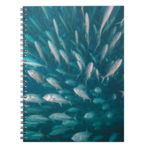 Into The Jacks Spiral Notebook