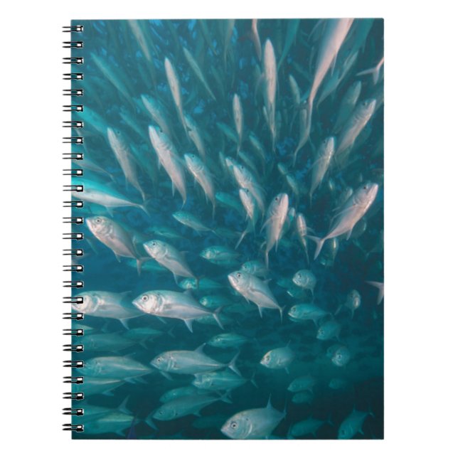 Into The Jacks Spiral Notebook (Front)