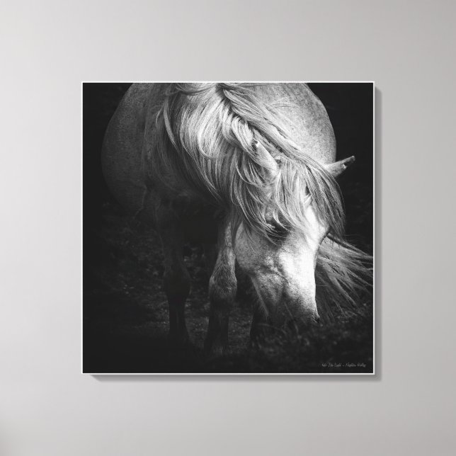 Into the Light - Dartmoor Pony, fine art Canvas Print (Front)