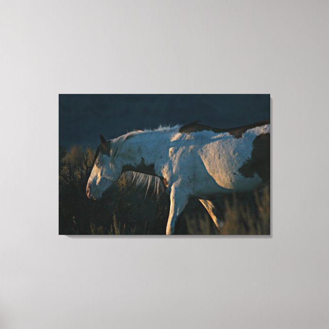 "Into the Light" Shaman Medicine Hat Stallion Canvas Print (Front)