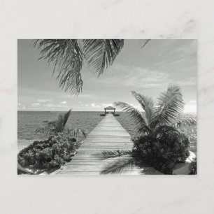 Into the Ocean Postcard