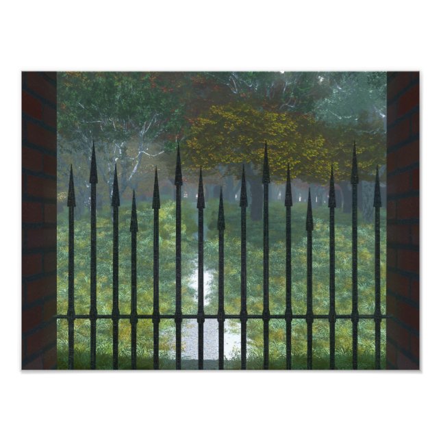 Into the Old Forest Photo Print (Front)