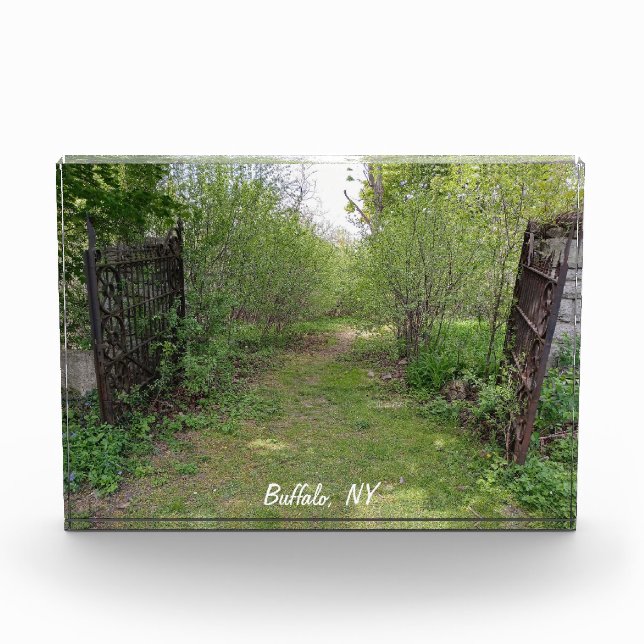 Into the Paths of Wonderment and Mirth Photo Block (Front)