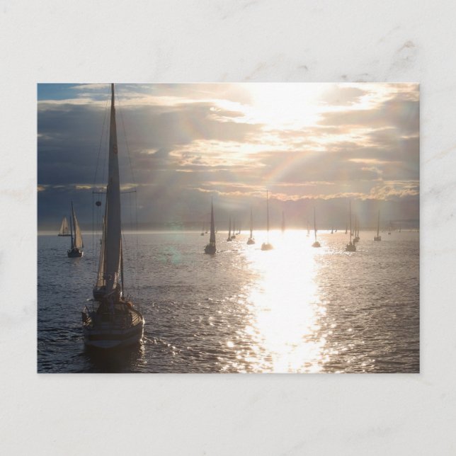 Into the Sunset Postcard (Front)