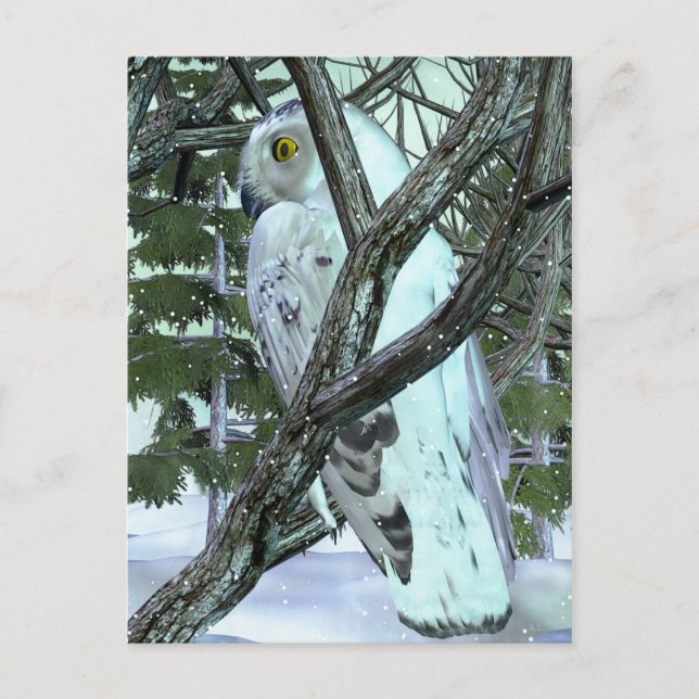 Into The Wild Snowy Owl Postcard (Front)