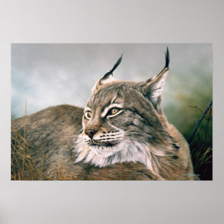 Into The Wind Poster