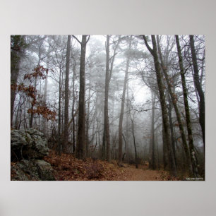 Into the Winter Forest Fog Poster