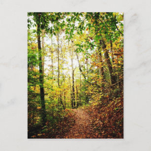 Into the Wood Postcard