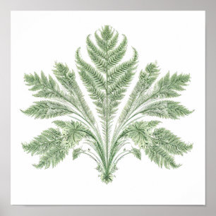 Intricate Botanical Symmetry: Fractal Flora Poster