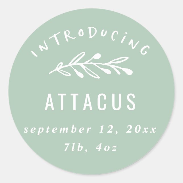 Introducing branch birth announcement classic round sticker (Front)