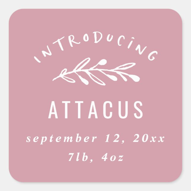 Introducing branch birth announcement square sticker (Front)