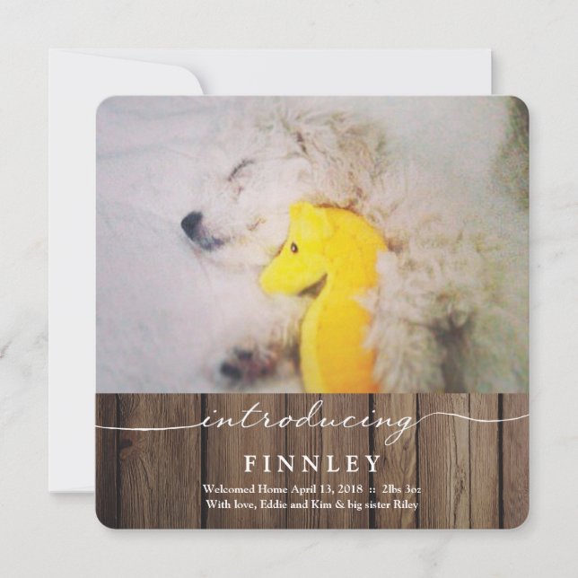 Introducing New Pet | Baby Announcement (Front)