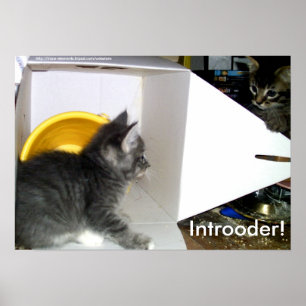 Introoder! Kitten poster