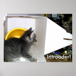 Introoder! Kitten poster