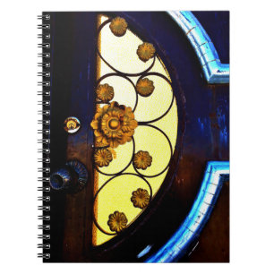 Introspection notebook