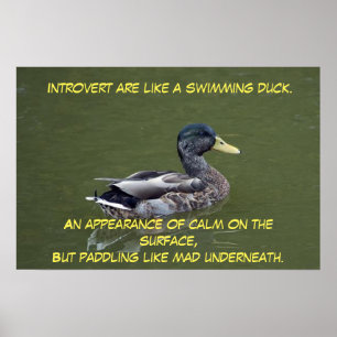 Introvert Duck Poster