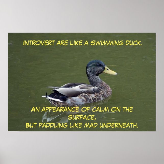 Introvert Duck Poster (Front)