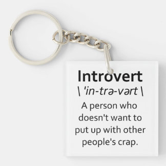 Introvert Key Ring