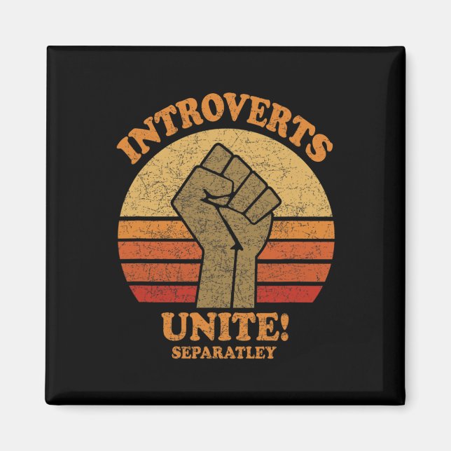 Introverts Unite Separately Funny Vintage Sunset  Magnet (Front)